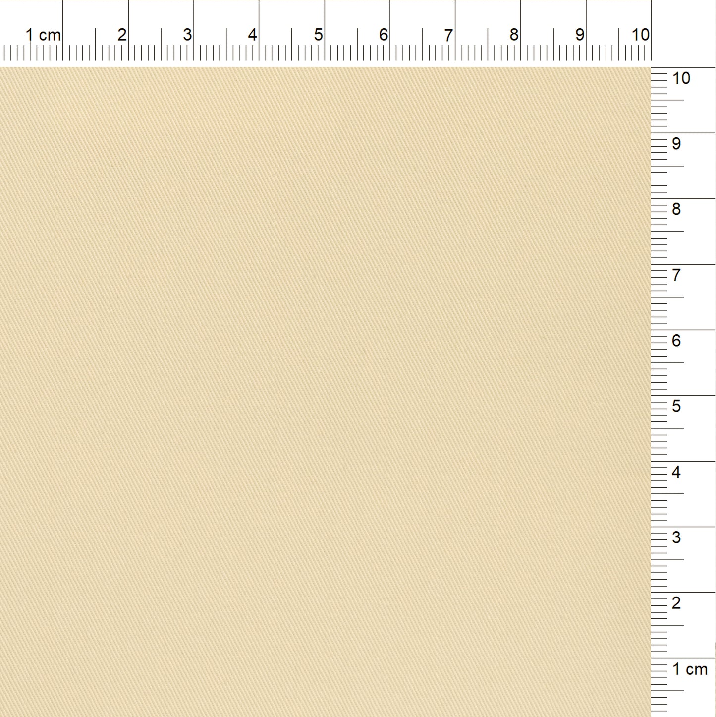 OP1950 Almond