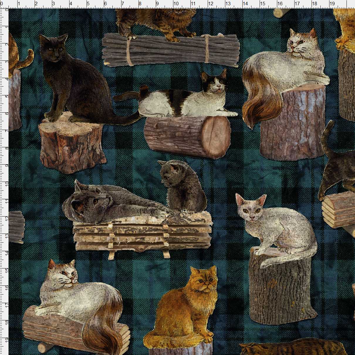 Whiskers On Wood