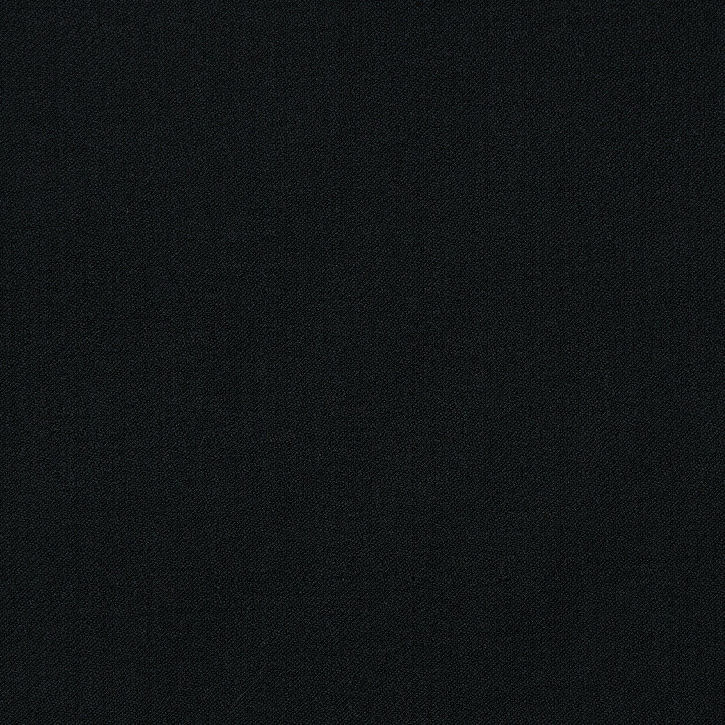 OP2507 Black Spider