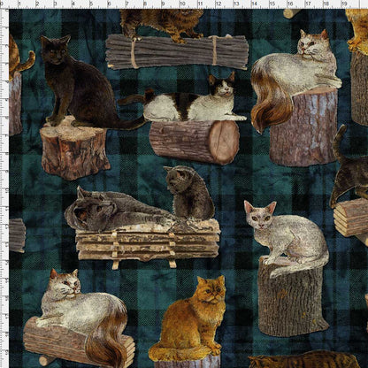 Whiskers On Wood